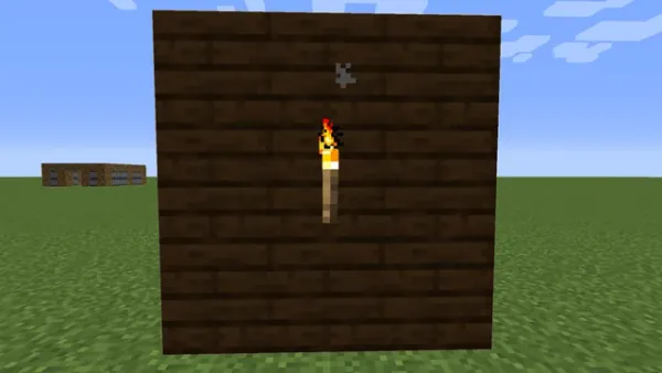 Minecraft torch